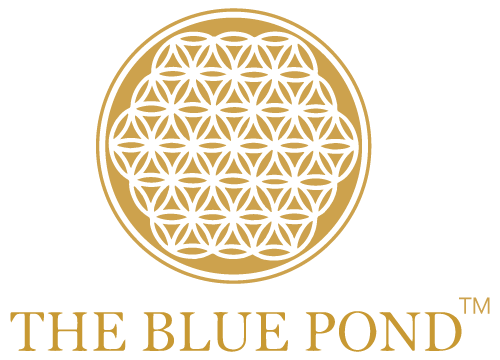 The Blue Pond Store
